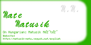 mate matusik business card